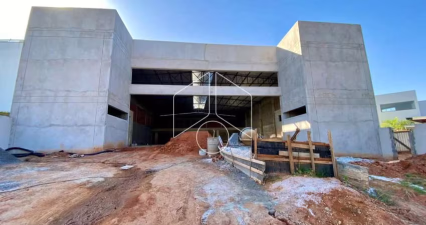 Comercial GalpãoBarracão em Marília