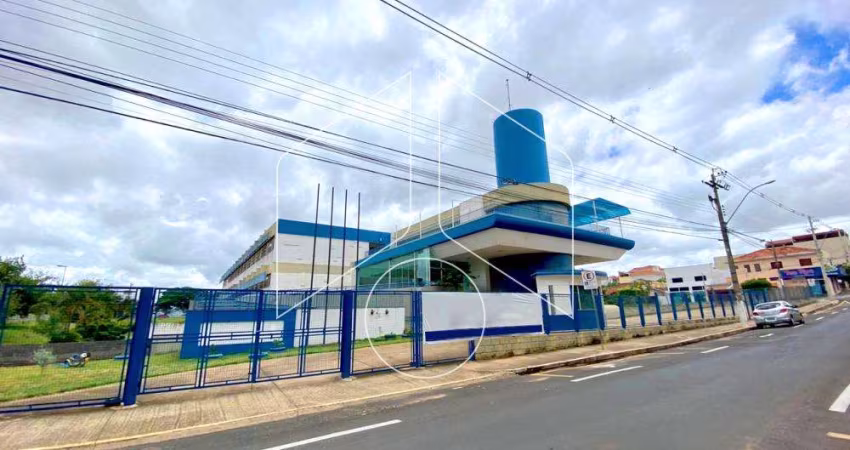 Comercial LojaSalão em Marília