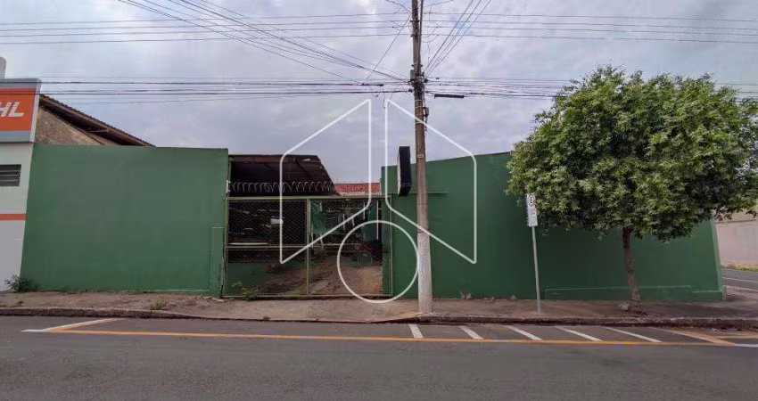 Comercial GalpãoBarracão em Marília