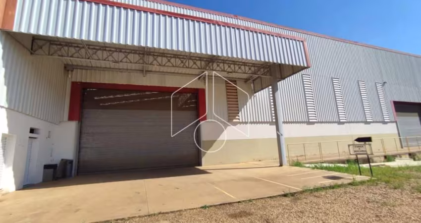 Comercial GalpãoBarracão em Marília
