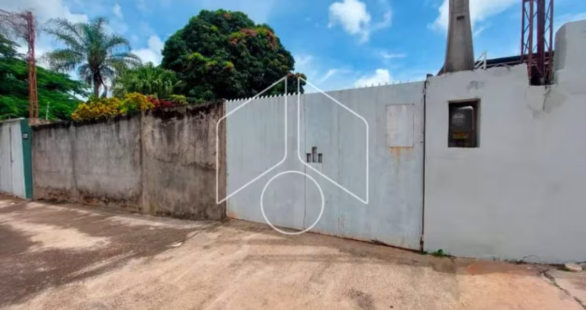 Terreno Área em Marília