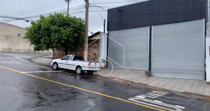 Comercial GalpãoBarracão em Marília