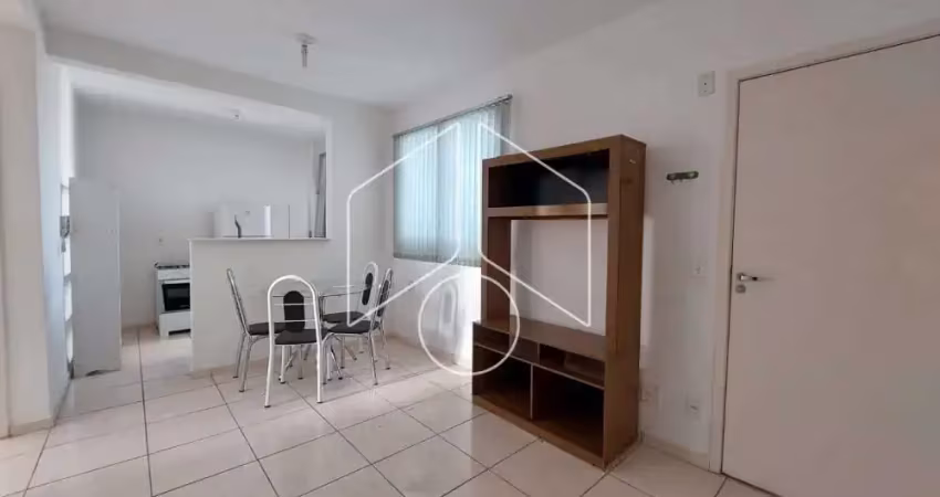 Apartamento com 2 quartos para alugar na Avenida Doutor Hércules Galletti, Bloco 12, 3118, Jardim Califórnia, Marília