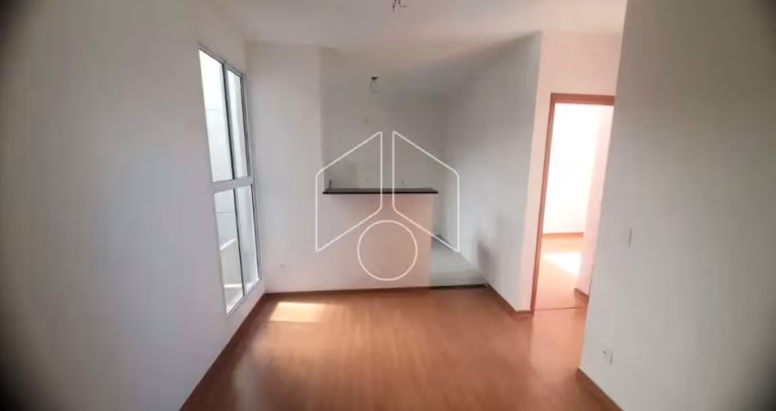 Apartamento com 2 quartos para alugar na Rua Abs Yasbek, 22, 87, Vila Maria, Marília