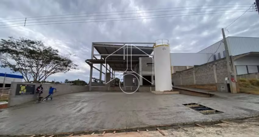 Barracão / Galpão / Depósito para alugar na Avenida Fábio Mascarim da Silva, 504, José Ferreira da Costa Júnior (Lácio), Marília