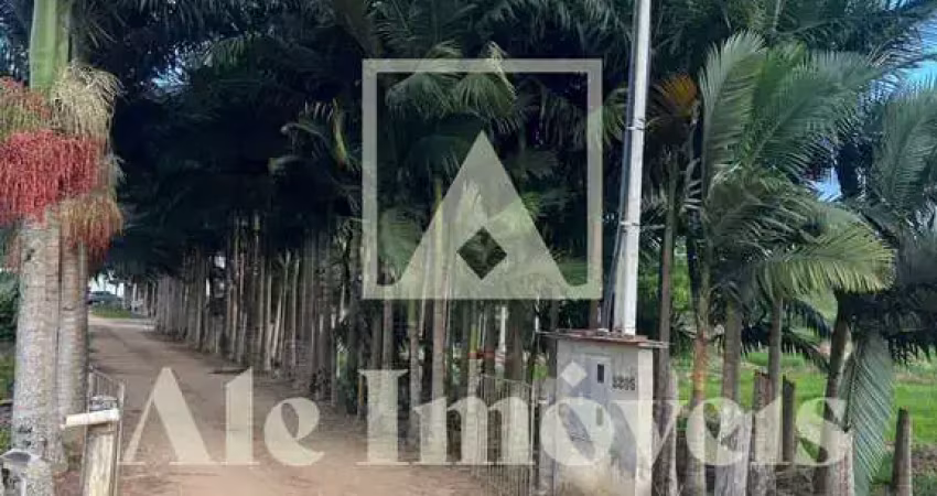 Chácara / sítio com 6 quartos à venda no Cruzeiro, Rio dos Cedros 