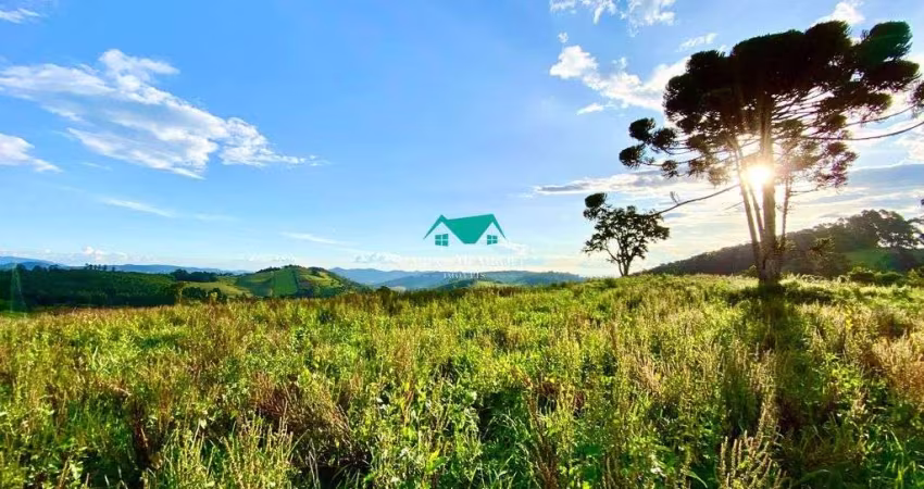 Terreno à Venda com 20000 m²