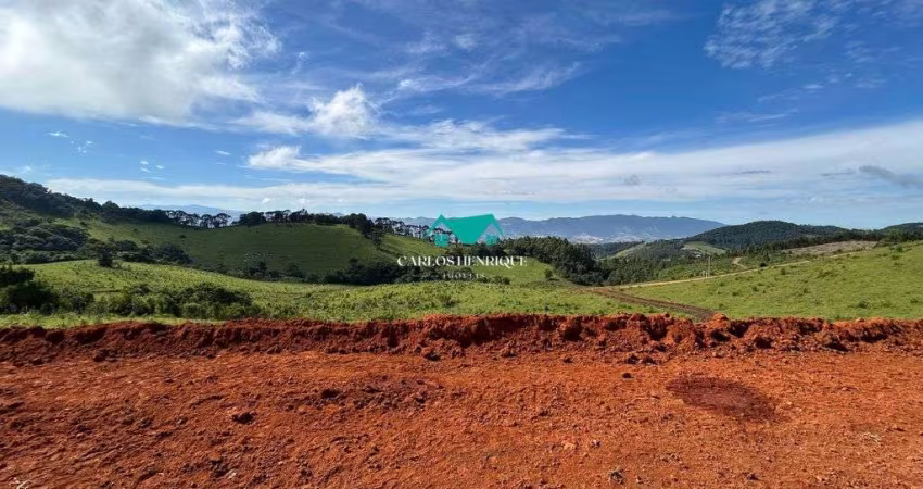 Terreno à Venda com 20.536 m²
