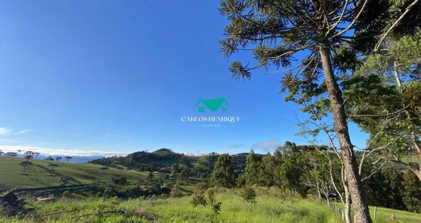Terreno à Venda com 21.000 m²