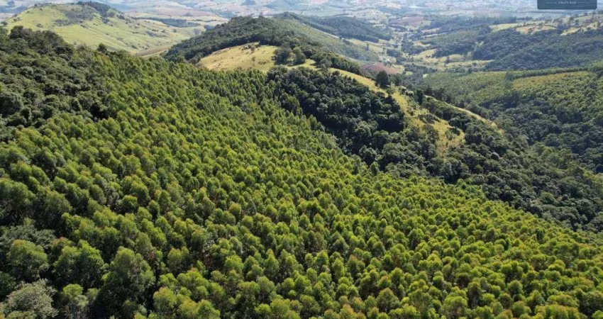 Terreno à venda, 96000 m² por R$ 400.000,00 - Centro - Pedra Bela/SP