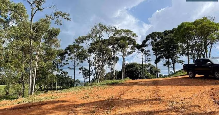 Terreno à Venda com 41800 m² por R$ 440.000