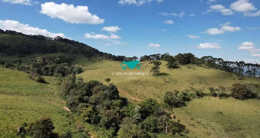 Terreno à Venda  R$ 1.800.000 - Pedra Bela - SP