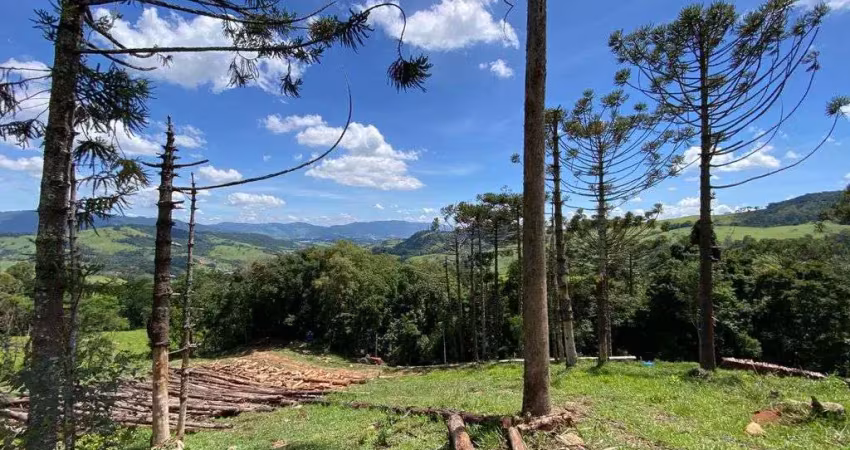 Chácara / sítio com 1 quarto à venda na Extrema - MG, 05, Centro, Extrema