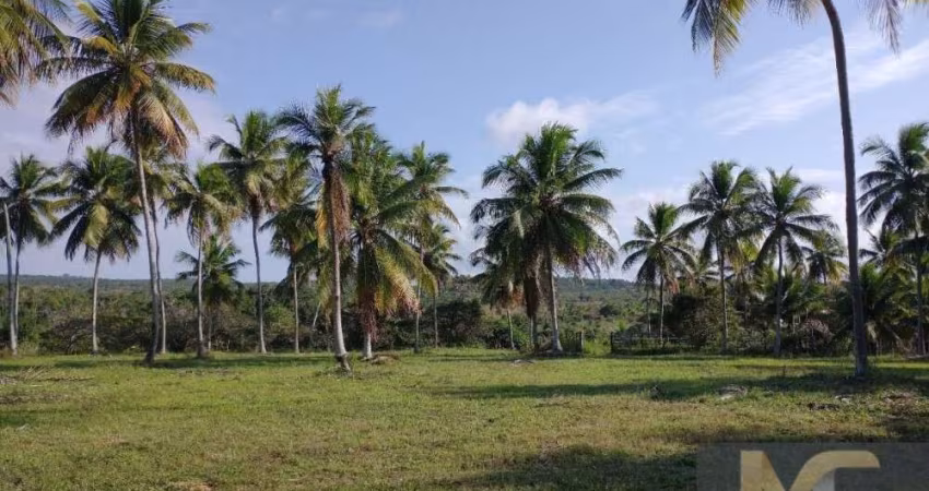 Chácara / sítio à venda na Rodovia Rodovia Conde/Esplanada, sn, Zona Rural, Conde