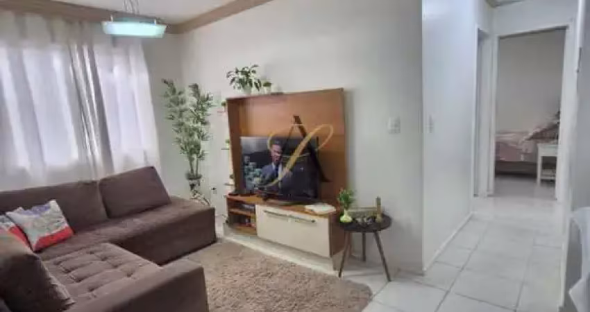 Apartamento mobiliado no centro de balneário camboriú