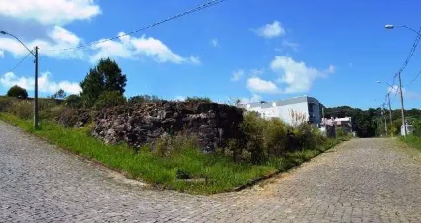 Terreno à venda na Nossa Senhora das Graças, Caxias do Sul 