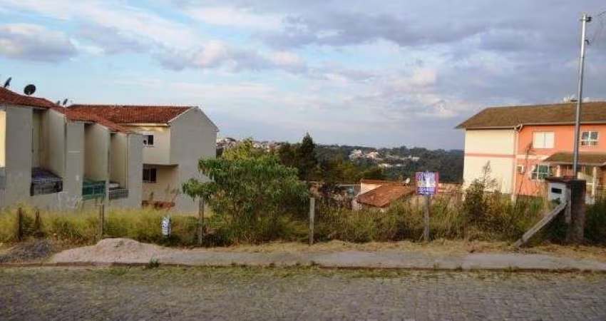 Terreno Salgado Filho Caxias do Sul