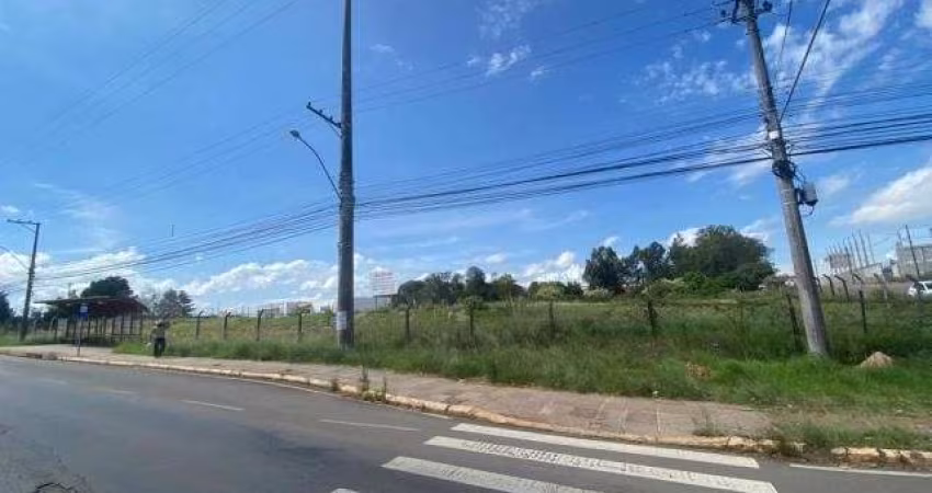 Terreno Desvio Rizzo Caxias do Sul