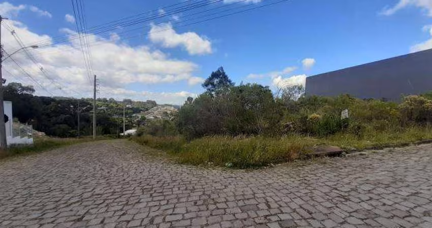 Terreno São Luiz Caxias do Sul