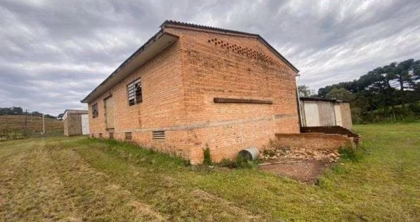 Pavilhão / Depósito Centro Flores da Cunha