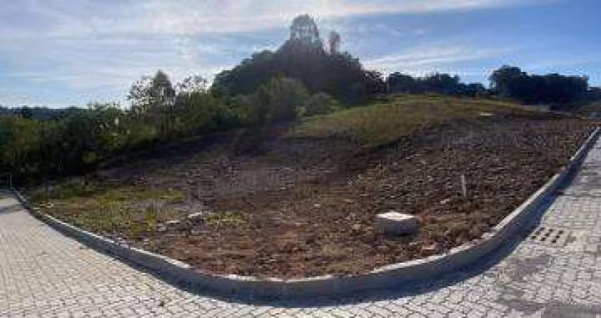 Terreno Desvio Rizzo Caxias do Sul