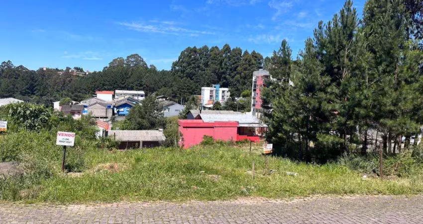 Terreno Desvio Rizzo Caxias do Sul