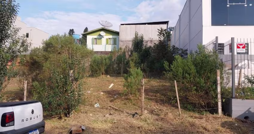 Terreno Salgado Filho Caxias do Sul