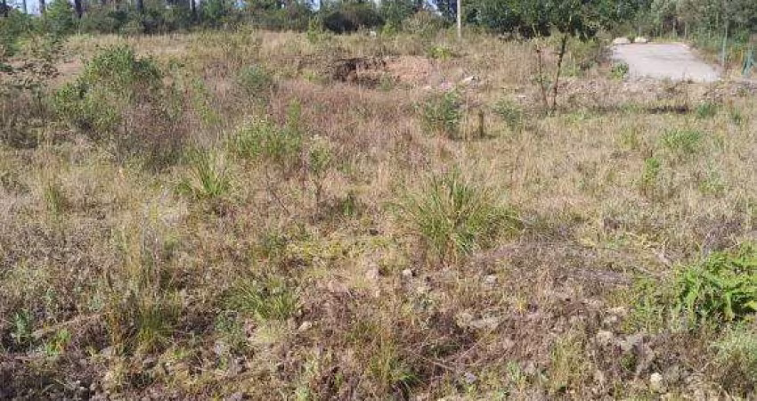 Terreno Ana Rech Caxias do Sul