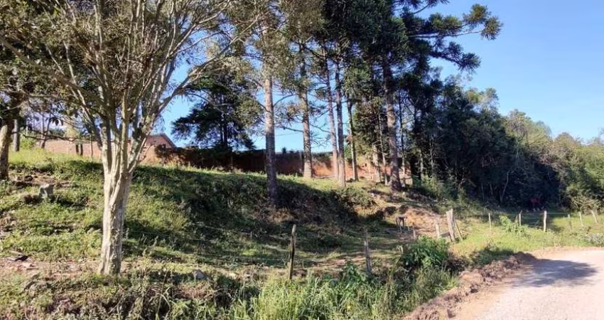 Terreno Santa Corona Caxias do Sul
