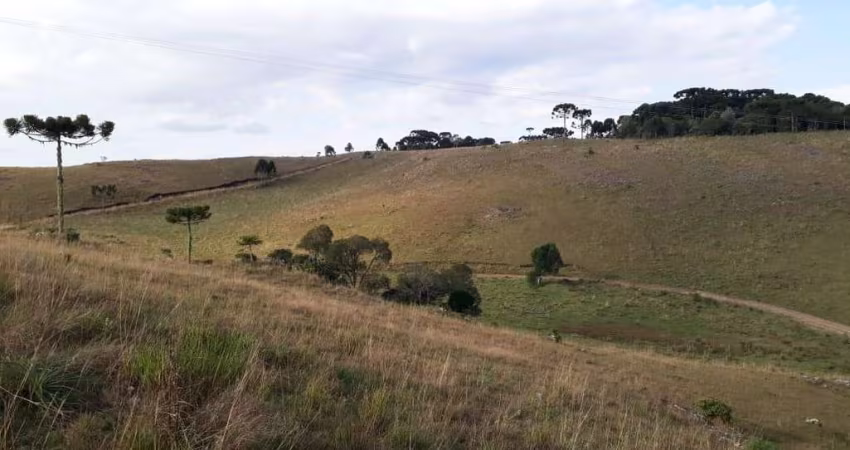 Terreno Centro São Francisco de Paula