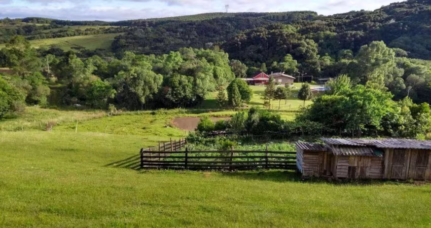 Terreno Fazenda Souza Caxias do Sul
