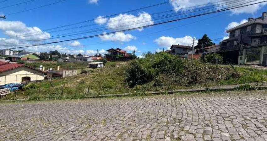 Terreno Sanvitto Caxias do Sul