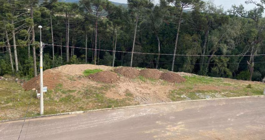 Terreno São Giácomo Caxias do Sul