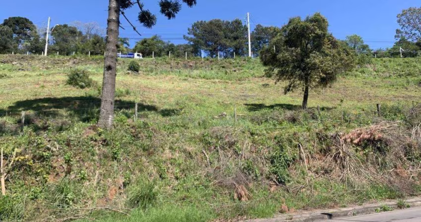 Terreno Nossa Senhora das Graças Caxias do Sul