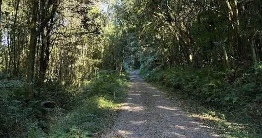 Chácara / sítio à venda no Centro, Caxias do Sul 