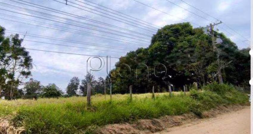 Chácara à venda em Campinas, Chácara de Recreio Santa Fé, com 1 quarto, com 9356 m²