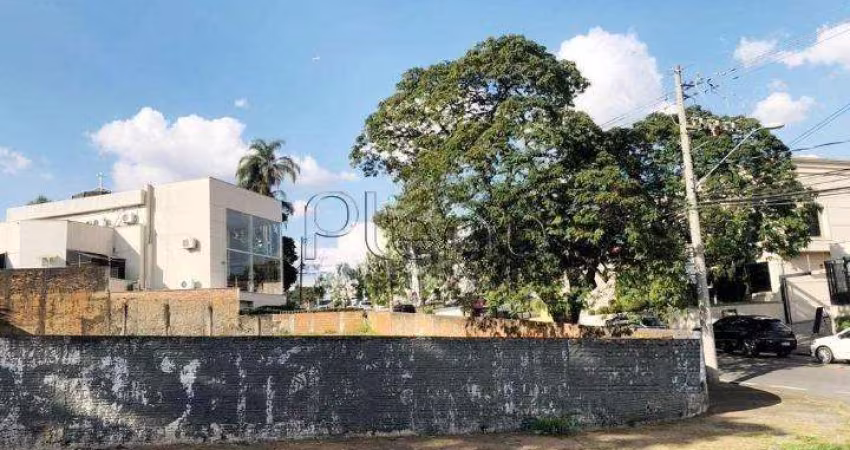Terreno à venda e para alugar em Campinas, Nova Campinas, com 925 m²