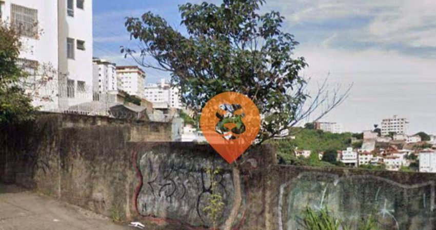 Terreno à venda, 445 m² por R$ 1.300.000,00 - São Lucas - Belo Horizonte/MG