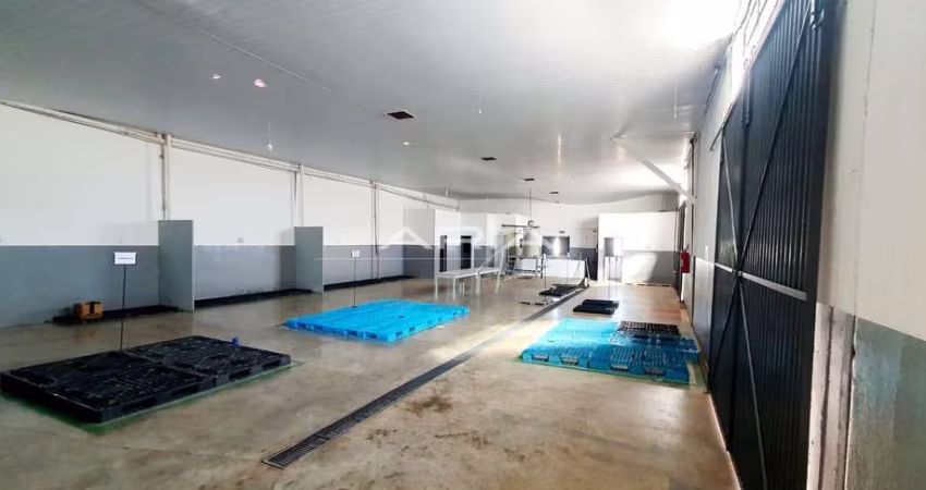 Vende-se barracões na marginal da BR-369, 3.000 m²  1 barracão nos fundos.