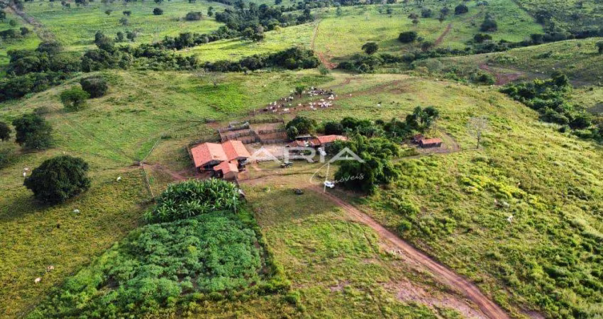 Fazenda à venda,11509431.00 m , Zona Rural, CAMPINAPOLIS - MT