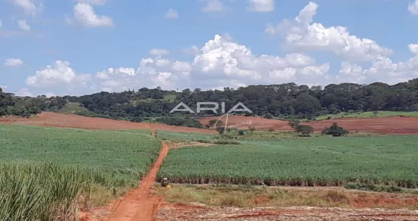 Fazenda à venda  Excelente oportunidade  Estado de São Paulo