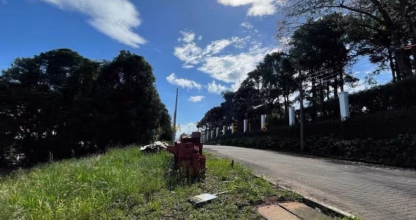 Terreno Ivoti