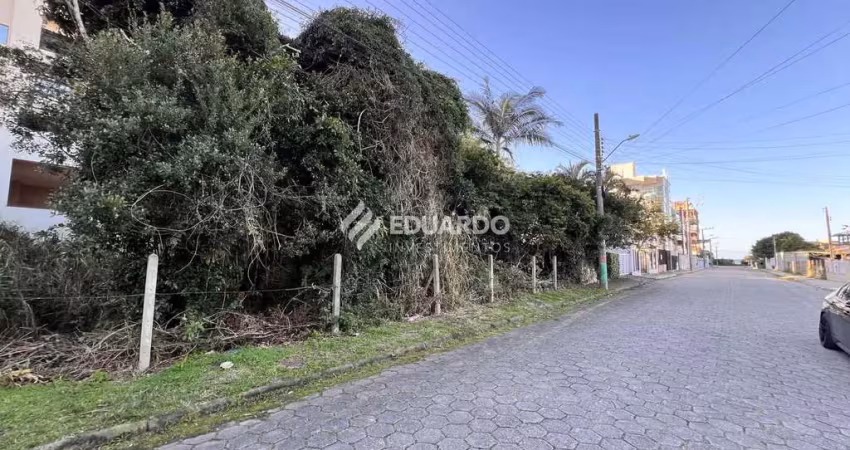 Terreno à venda, 253 m², rua ipê amarelo, canto grande, bombinhas sc
