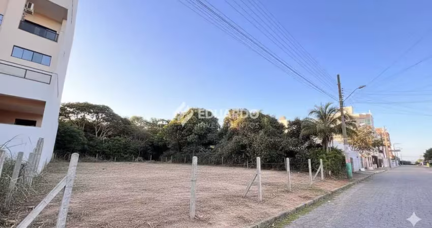 Terreno à venda, 253 m², rua ipê amarelo, canto grande, bombinhas sc