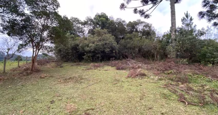 Terreno à venda na Rua José Sabim, Itaqui de Cima, Campo Largo