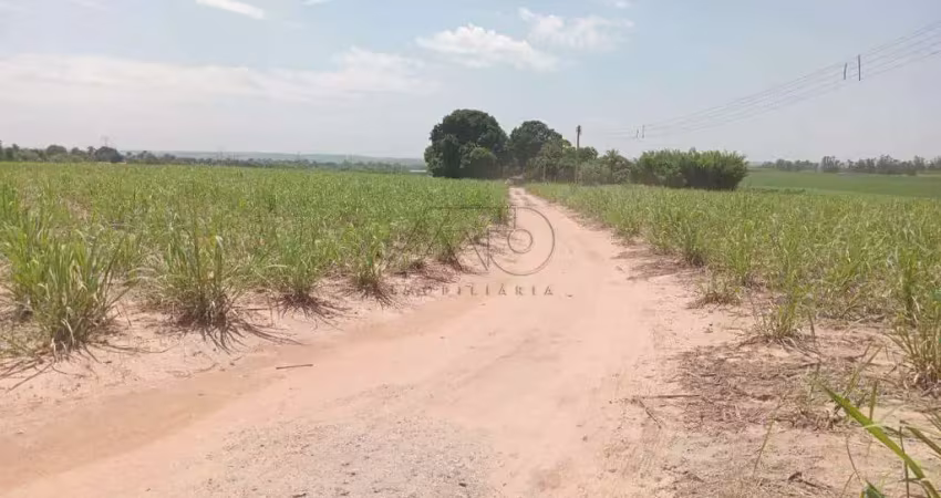 Chácara / sítio à venda no Campestre, Piracicaba 
