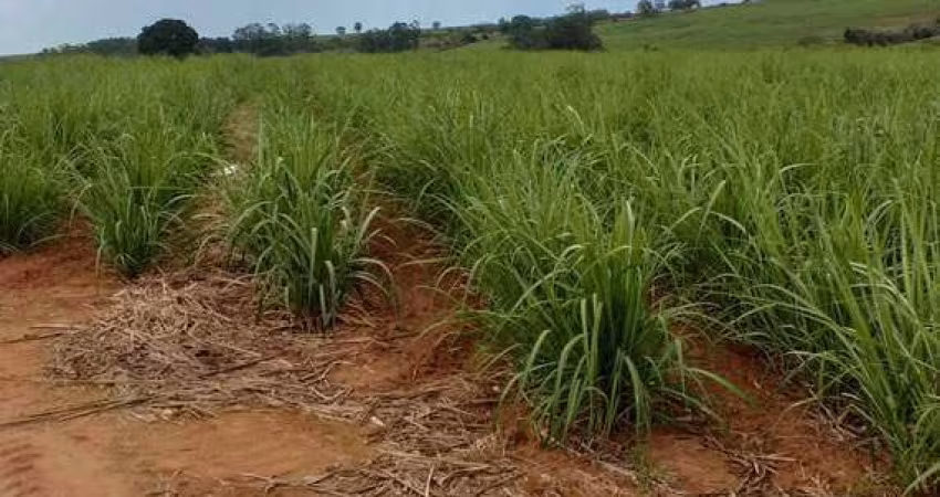 Área à venda, TIETE - TIETE/SP