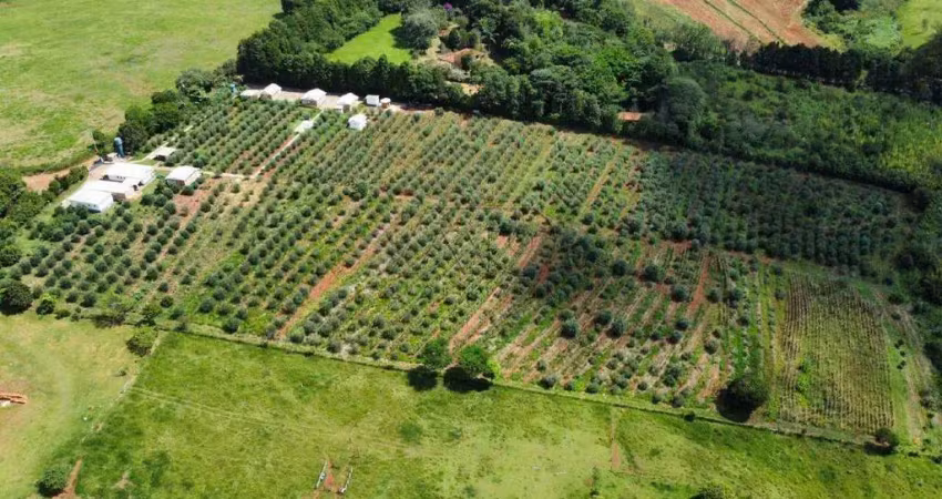Ponto comercial à venda no Dos gomes, São Pedro 
