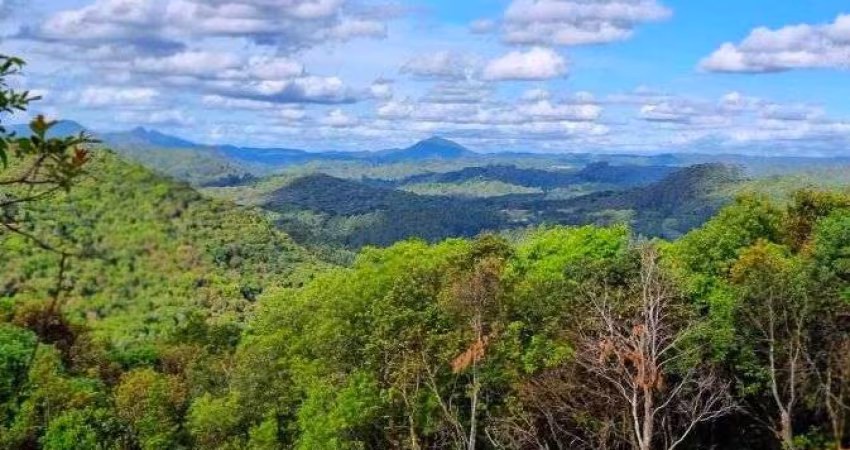 Chácara em Taquaral, Campo Largo/PR