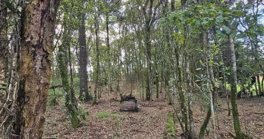 Terreno à venda em Balsa Nova/PR